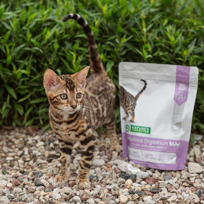 dry food for adult sensitive cats with poultry